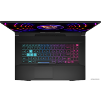 MSI Katana 17 B12VFK-271XRU Image #9